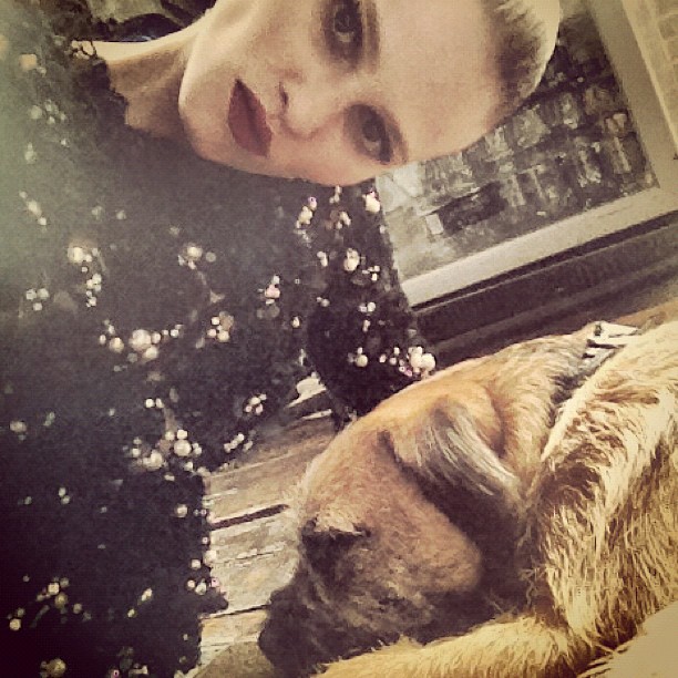 Lara Stone et son chien Compte Twitter de Lara Stone